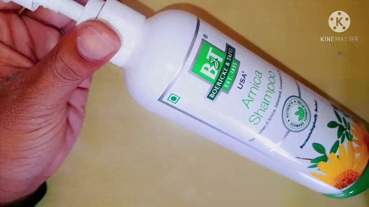 Good shampoo BOERICKE & TAFEL Arnica Shampoo  Homeopathic  shampoo