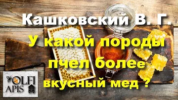 #Кашковский В. Г. У какой породы пчел более #вкусный_мед ???